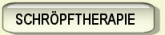 Schroepftherapie